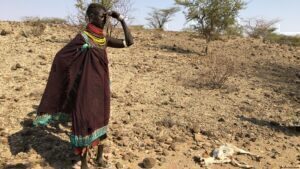 Κλιματική αλλαγή: Φονικοί καύσωνες πλήττουν την Αφρική - «Έβρασε» η περιοχή του Σαχέλ