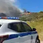 Φωτιά στην Αργολίδα: Οριοθετήθηκε το μέτωπο στην Προσύμνη - Πλησίασαν σε οικισμό οι φλόγες