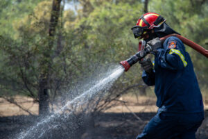 Φωτιά σε δασική έκταση στο δήμο Σπάτων - Αρτέμιδος - Σηκώθηκαν και εναέρια