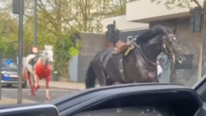 Λονδίνο: Σε σοβαρή κατάσταση τα δύο άλογα που έτρεχαν στο κέντρο της πόλης