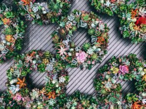 Στεφάνια από λουλούδια - Πώς θα φτιάξετε μόνες τα ωραιότερα