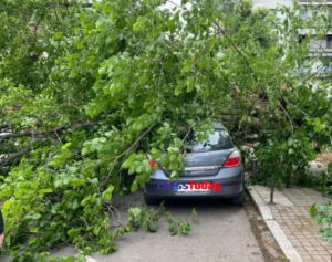 Θεσσαλονίκη: Δέντρο έπεσε πάνω σε δυο αυτοκίνητα [εικόνες]