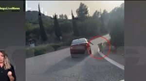 Ναύπλιο: Σοκάρουν οι εικόνες- Σκύλος τρέχει πλάι σε αυτοκίνητο εν κινήσει και ο συνοδηγός τον κρατάει από το λουρί [βίντεο]