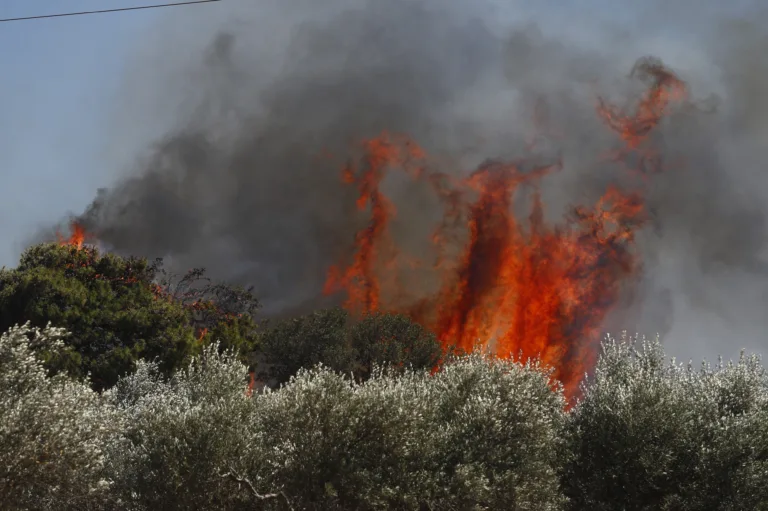 Μεγάλη φωτιά στην Κερατέα: Κάηκαν σπίτια - Εκκενώθηκαν οικισμοί - Δείτε βίντεο