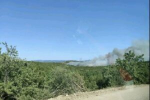 Φωτιά τώρα στη Ροδόπη: Καίγεται δάσος στους Ασκητές - Ήχησε το 112