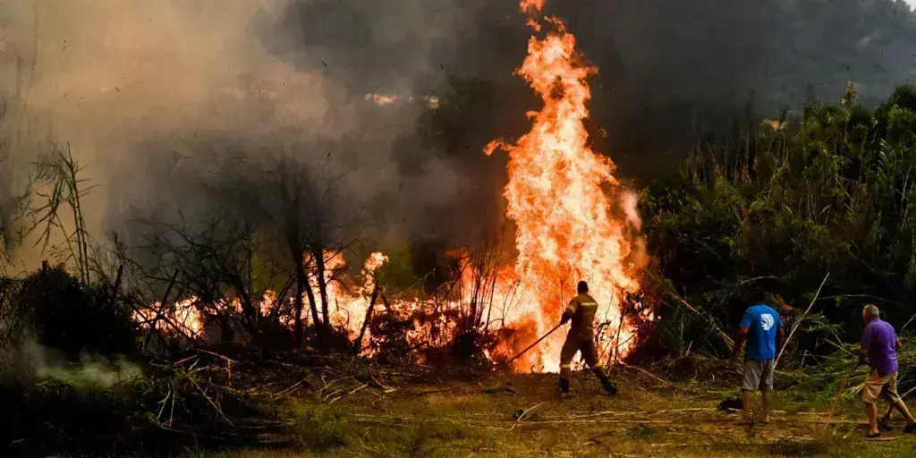 Φωτιά τώρα σε Λακωνία, Πιερία και Τζουμέρκα