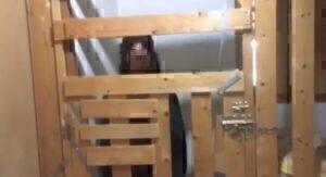 Καλαμάτα: Σοκ με τη νέα υπόθεση «Κωσταλέξι» – Η 29χρονη που ζει σε κλουβί εδώ και 7 χρόνια και η εισαγγελική έρευνα
