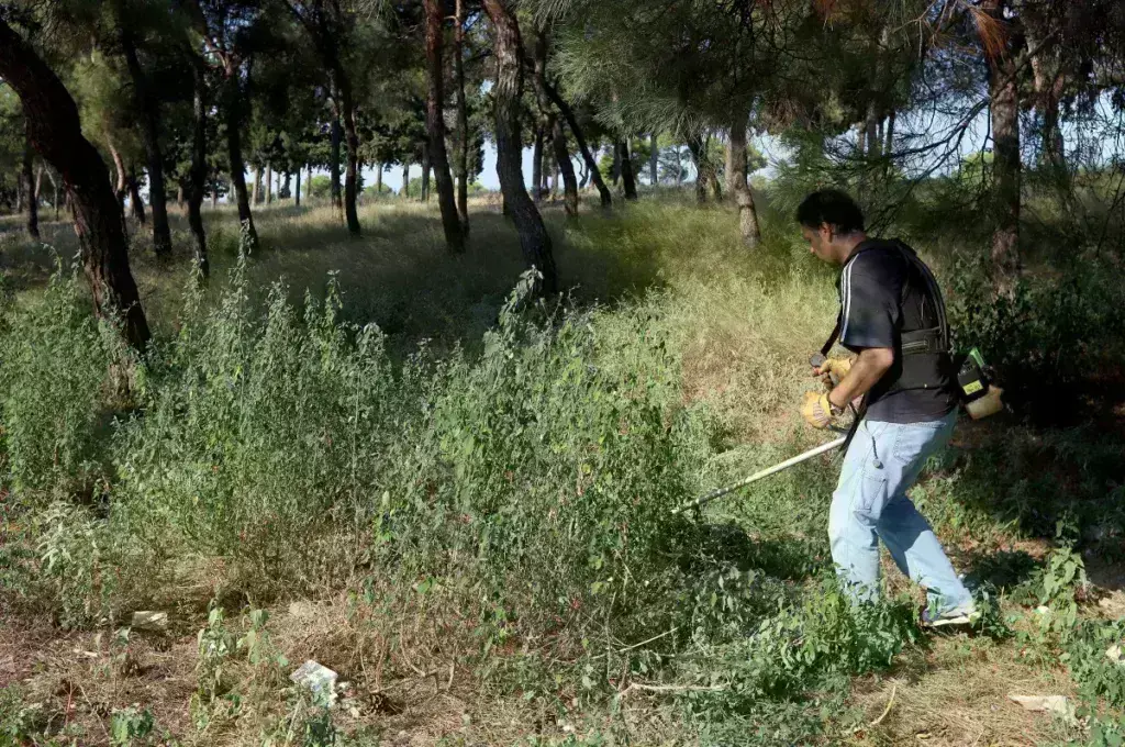 Ακαθάριστα οικόπεδα