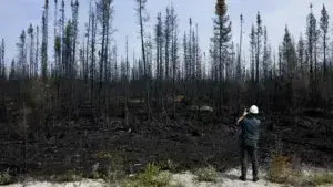 Καναδάς: Εκκένωση φυλακής υψίστης ασφαλείας λόγω δασικών πυρκαγιών που μαίνονται στο Κεμπέκ