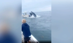 Απίστευτο βίντεο: Τσαντισμένη... φάλαινα ανατρέπει βάρκα με ψαράδες