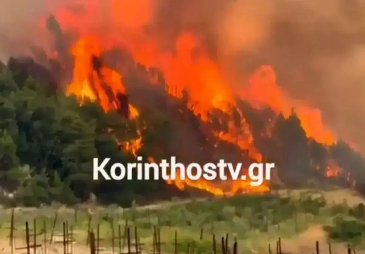 Απειλητικές διαστάσεις έχει λάβει η φωτιά στην Κορινθία - Ενισχύονται συνεχώς οι δυνάμεις