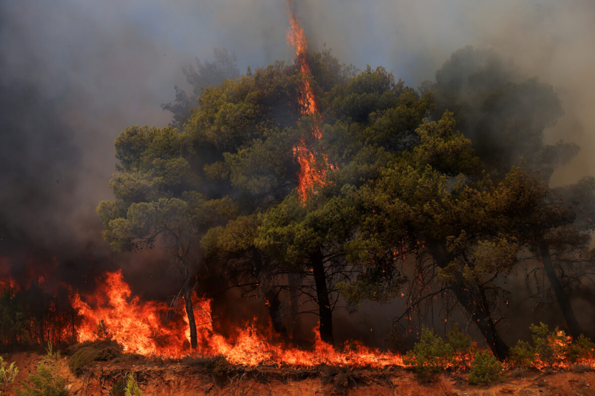 Φωτιά στην Αττική: Καίγονται σπίτια - Σκληρή μάχη με τις φλόγες και τις αναζωπυρώσεις - Συνεχείς εκκενώσεις [Δείτε βίντεο]