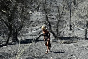 καμένες εκτάσεις Η Αττική χάνει με πολύ μεγάλο ρυθμό τα δάση της - Ελάχιστες οι δυνατότητες φυσικής αναγέννησης