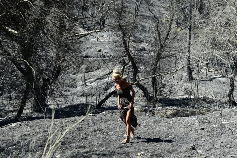 καμένες εκτάσεις Η Αττική χάνει με πολύ μεγάλο ρυθμό τα δάση της - Ελάχιστες οι δυνατότητες φυσικής αναγέννησης