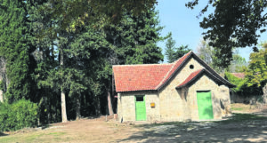 Σε νέα φάση τα έργα στο Τατόι