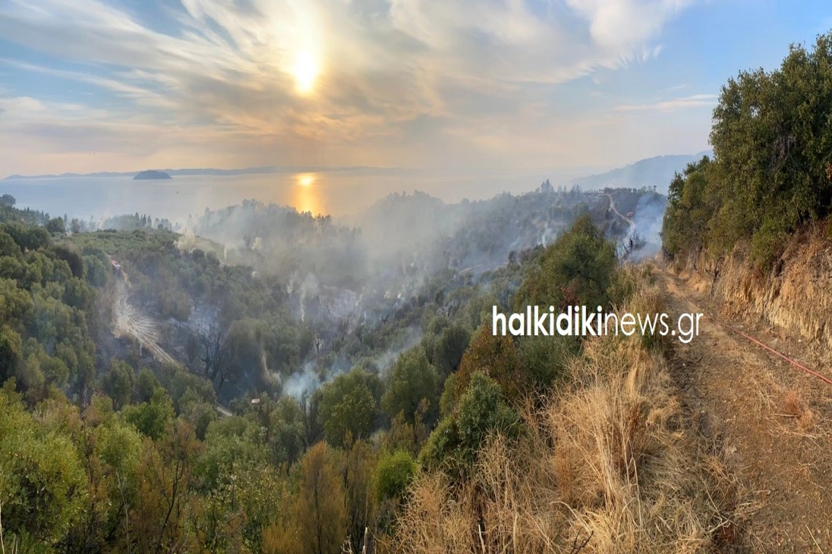 Φωτιά στη Σιθωνία Χαλκιδικής