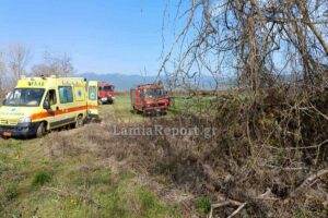 Εργατικό δυστύχημα στη Φθιώτιδα: Πλατάνι έπεσε στο κεφάλι του όταν προσπάθησε να το απομακρύνει 